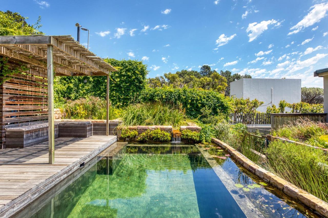 Solar-Powered Mountain Retreat With Natural Pool Cape Town Ngoại thất bức ảnh